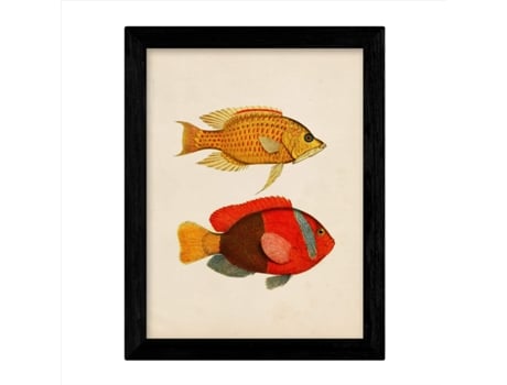 Set De 4 Láminas De Peces Coloridos Efecto Vintage. Composicion De 11 Peces Diferentes, Fondo Papel Antiguo Vintage. Sin Marco