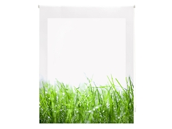 Estor Enrollable HAPPYSTOR Estampado Digital Zen HSCZ94002 195x250 cm