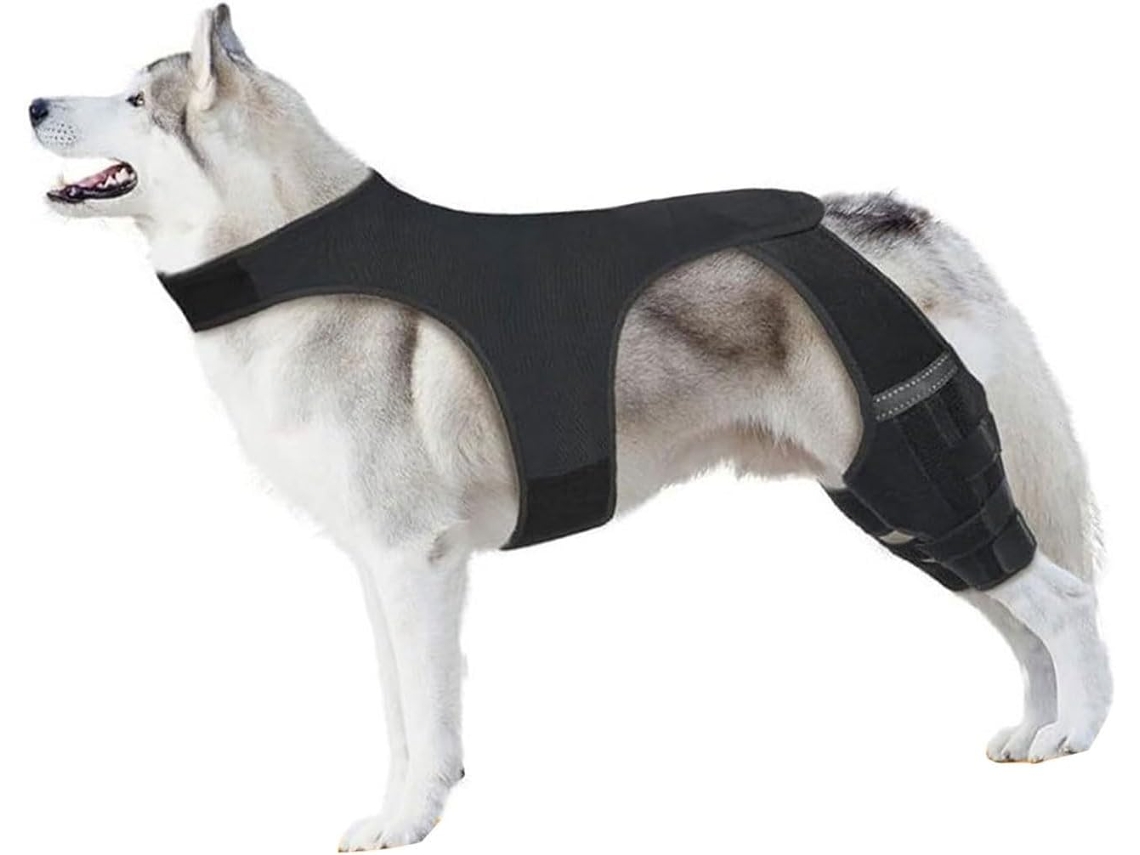 Rodillera Ajustable De Neopreno Transpirable Para Perros Mayores Activos Después De Una Cirugía.