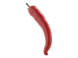 Muestra de pimiento rojo artificial de Slowmoose Bakeries