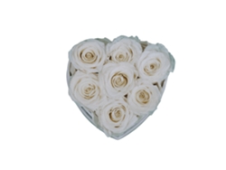 7 rosas naturales preservadas blancas LOVE Flowers en caja de corazón negra - Colección Heart Rose