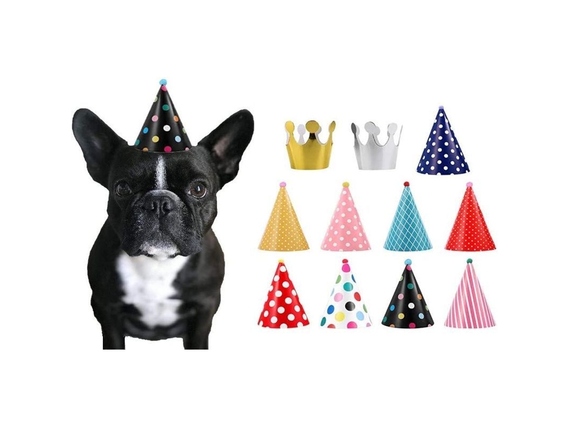 Conjunto De Sombreros De Fiesta Para Perros - Aniversário E Celebrações - 11 Peças: Sombreros E Coroas