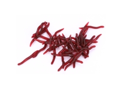 Señuelo De Pesca Insecto Suave 4cm Gusano Falso Sangre Cebo Artificial Mar 200pcs