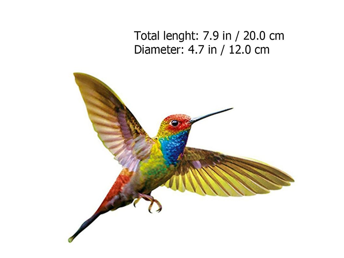 6 Adhesivos Para Ventana De Colibrí.