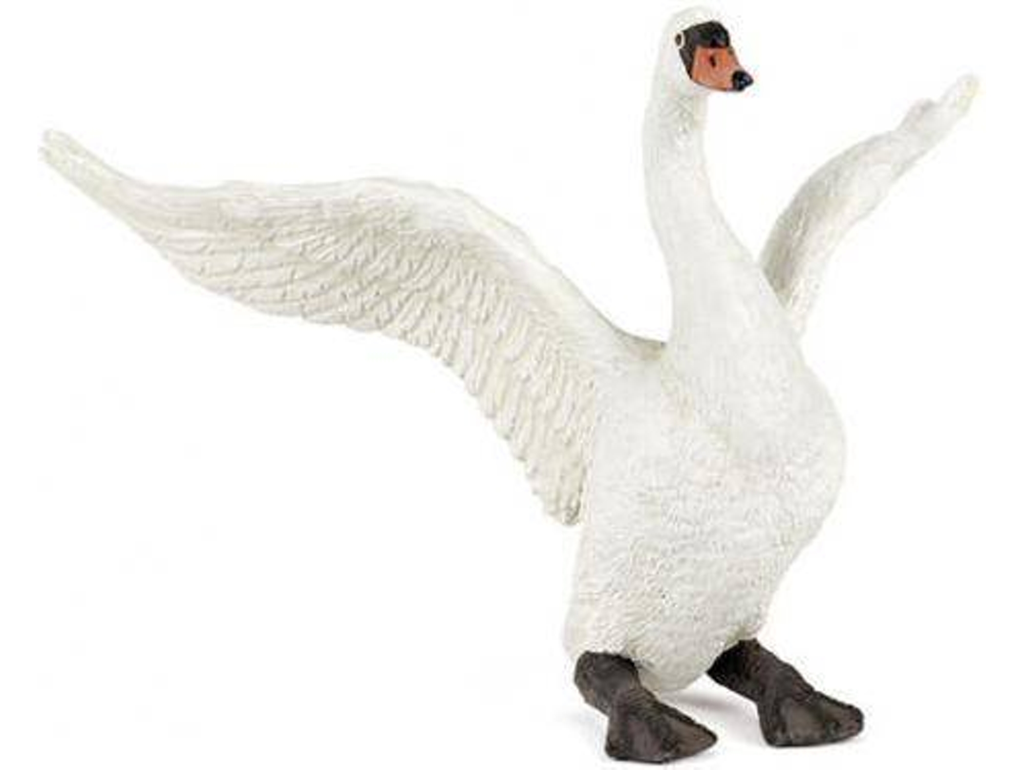 Figura PAPO Cisne Blanco
