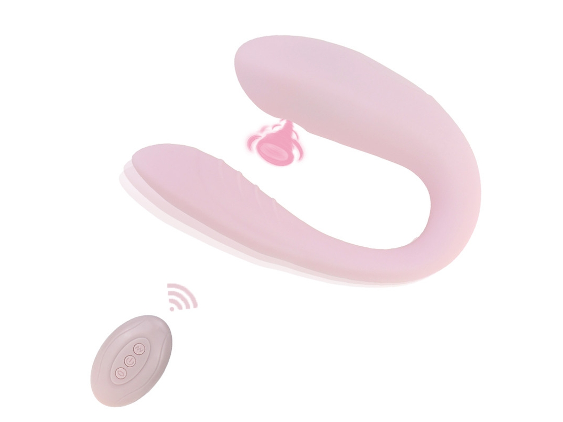 Vibrador Porttil De Succin De 10 Frecuencias Con Control Remoto Inalmbrico Para Mujeres (rosa)