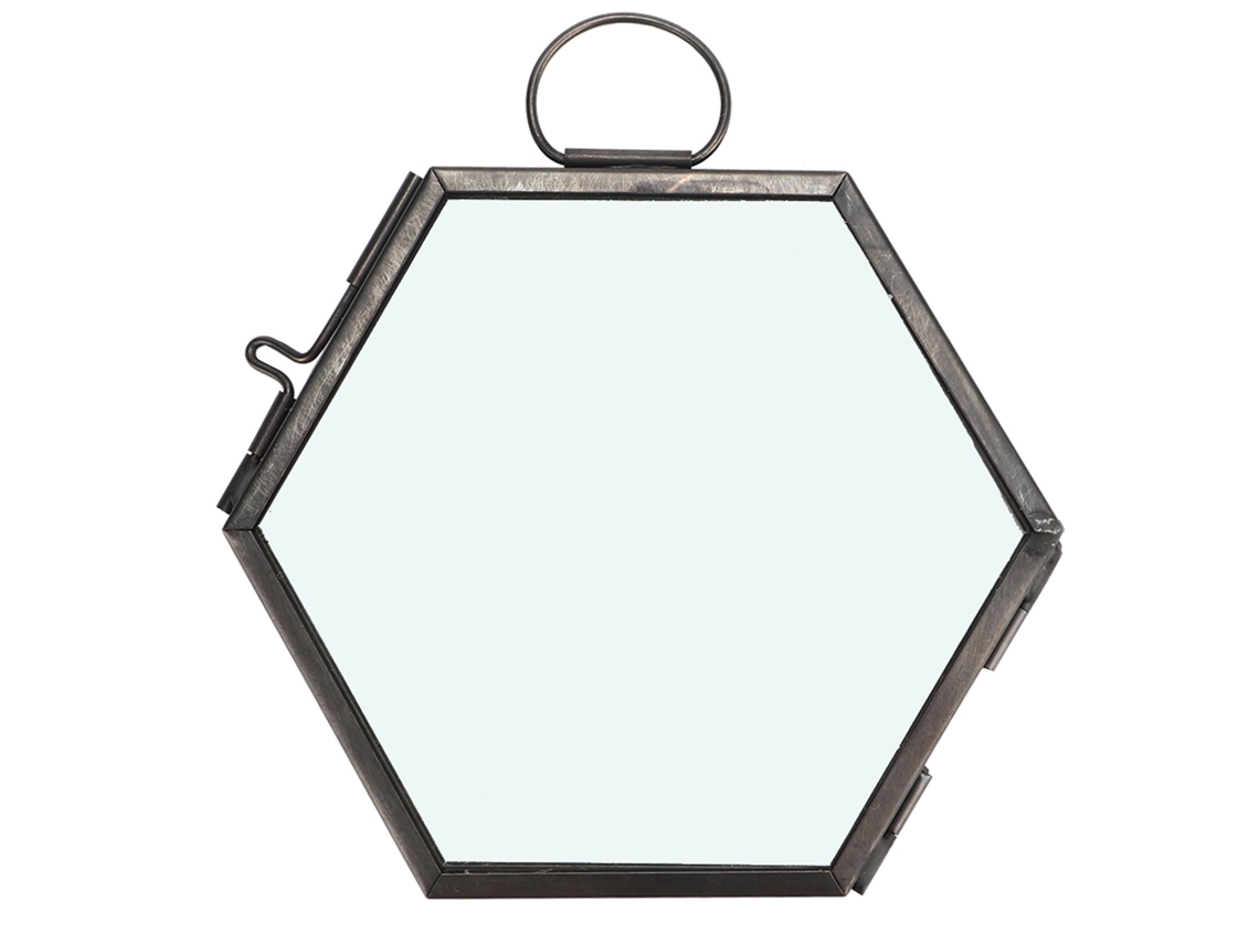 Marco de vidrio hexagonal para flores secas y especímenes