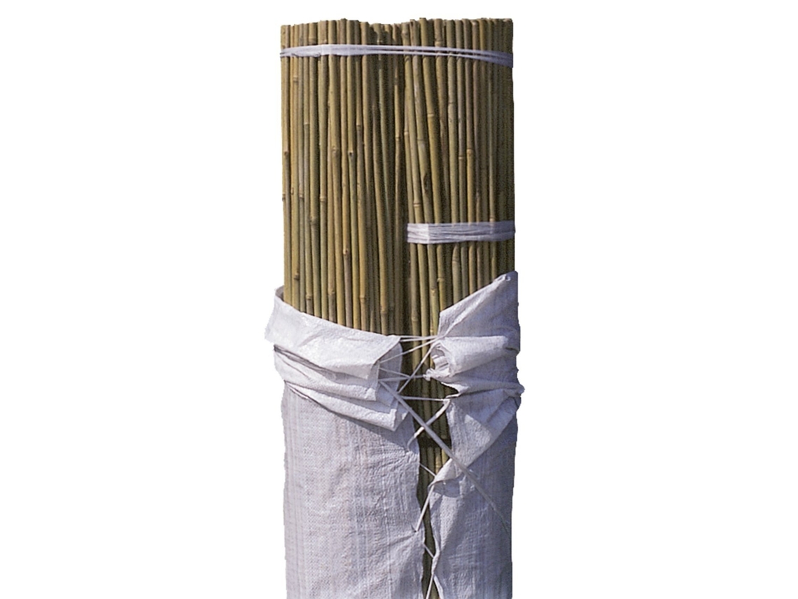 Bala tutor Bambú - 100 unidades Alt: 240cm / Diam: 14-16mm