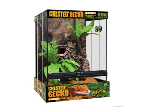 Kit inicio terrario para Gecko Crestado EXO TERRA, L, 45x45x60cm