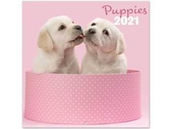 Calendario ANIMALES Chantrenne Dog (2021 - 30 x 30 cm)