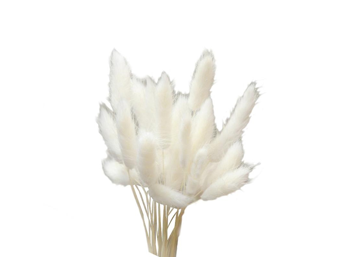 Las nuevas flores secas de 20 piezas ALLINLESS