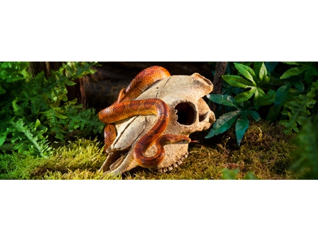 Adorno para Reptiles EXO TERRA 23.2x23.4x11.5 cm