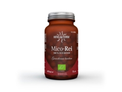Hifas da Terra Mico-Rei 70's