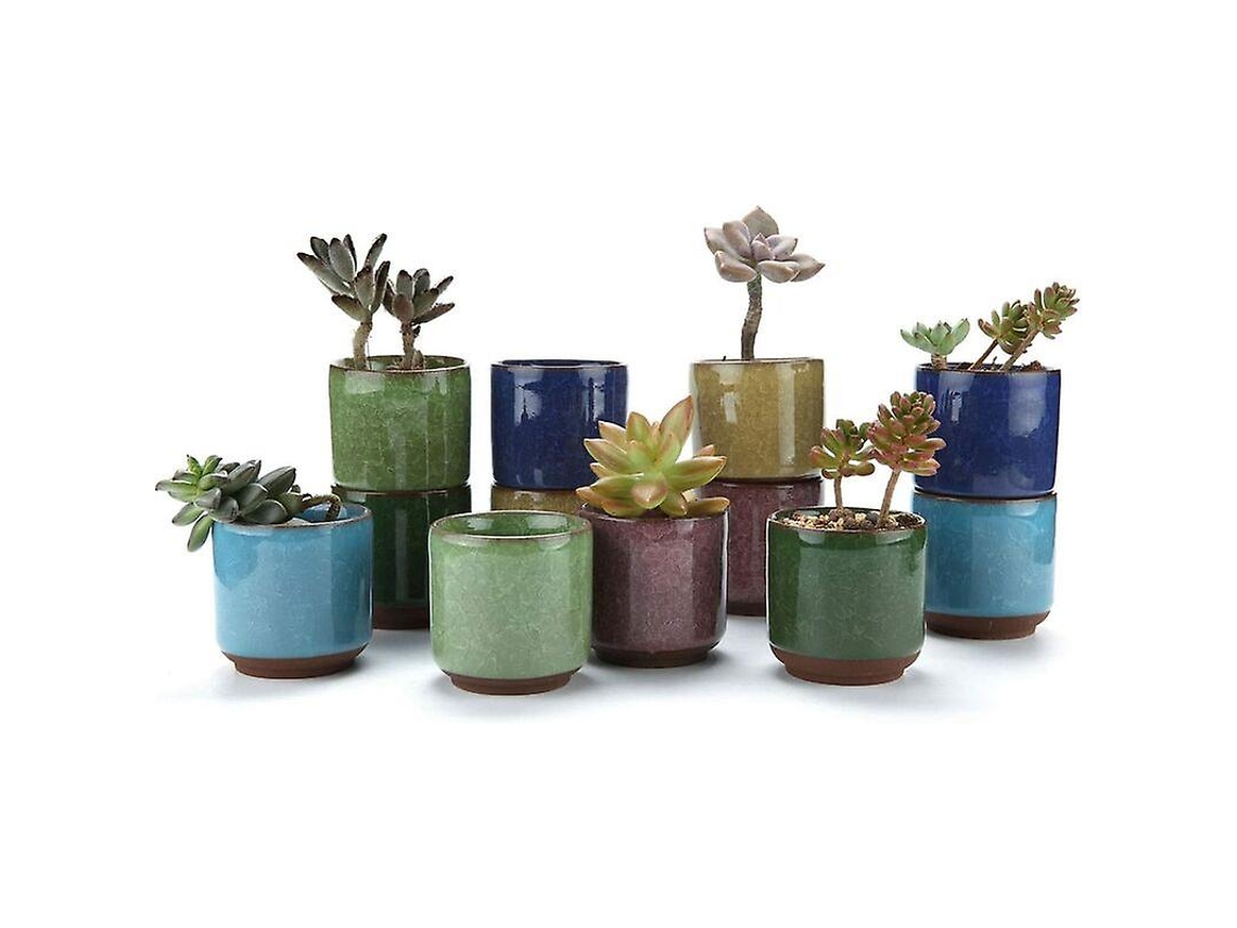 Macetas De Cerámica Para Suculentas T4u Serie Crackle 6.5cm Plantas Cactus 12 Unidades Regalo Cumpleaños Boda