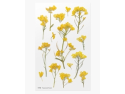 Pegatinas decorativas de flores con diseño de flor de canola