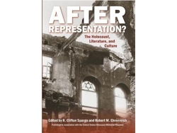 Libro After Representation? (Inglés)