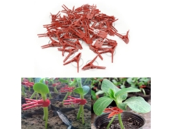 100 Pinzas De Injerto De Plástico Prácticas Para Plantas Y Jardín, Herramientas Seguras.