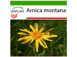 SAFLAX Árnica 40 semillas Con sustrato de cultivo libre de gérmenes Arnica montana