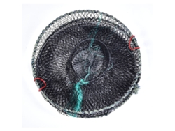 2026rebe-jaula Plegable Para Cangrejos Langostas Camarones Crayfish Peces Red De Pesca 33cm