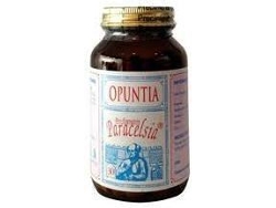 Complemento Alimentar PARACELSIA 30 Opuntia 450 Mg (240 Comprimidos)
