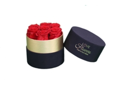 7 rosas naturales preservadas rojas LOVE Flowers - Colección Gold Circle Rose