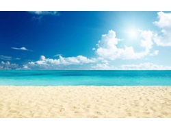 Fotomural OEDIM Playa y Mar (Multicolor - 100x70cm - Vinilo)