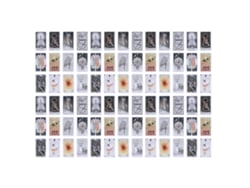 2026-cartas Tarot Salvaje Mazo Desconocido Papel Holograma Cartas De Divinación Juego Interactivo