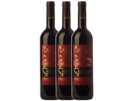 Vino BLANCH I JOVÉ Blanch I Jové Saó Abrivat Costers Del Segre Crianza (0.75 L - 3 unidades)