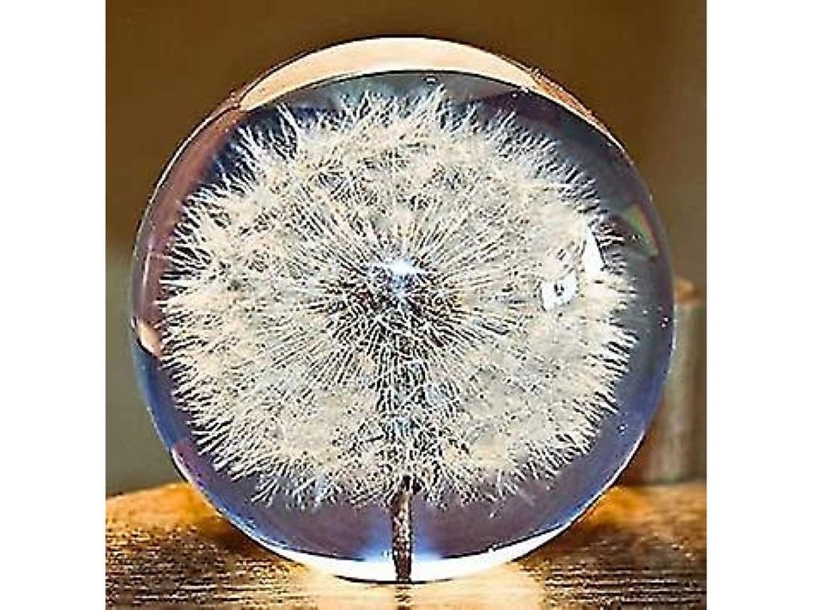 Bola De Cristal Con Forma De Diente De León Y Flor Natural Para Mesa De Juego - Regalo Único