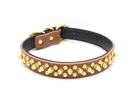 Collar de cuero para perros con púas doradas, para evitar que el perro sea atrapado por perros más grandes.
