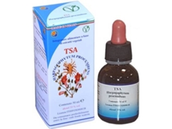 Té HERBOPLANET Tsa Harpagophytum (50 ml)
