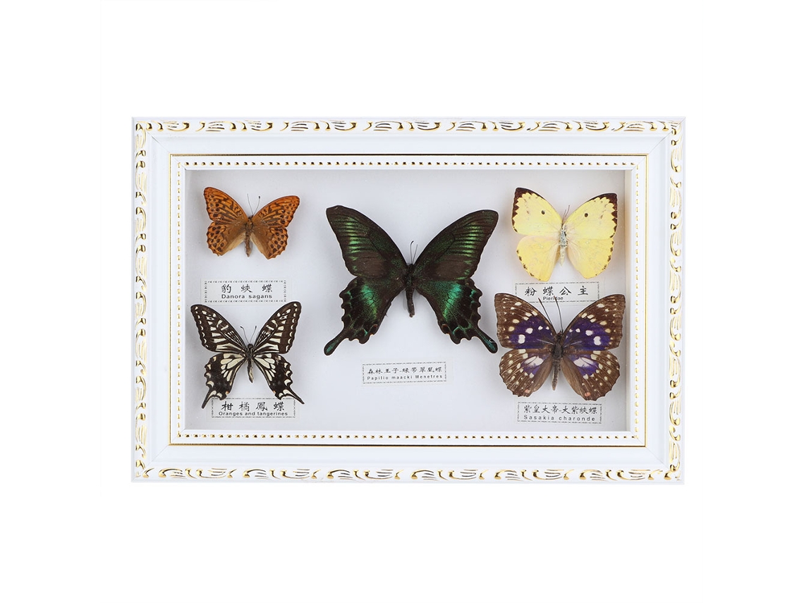 Mariposa hecha a mano, regalo de cumpleaños, marco blanco.