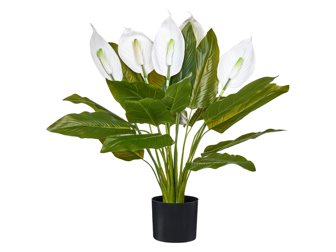 Planta Artificial Beliani Spathphyllum De Material Sintético Verde 60x60x70