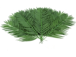 Planta Artificial EUROPALMS Coconut Palm Branch (Verde - 90 cm)