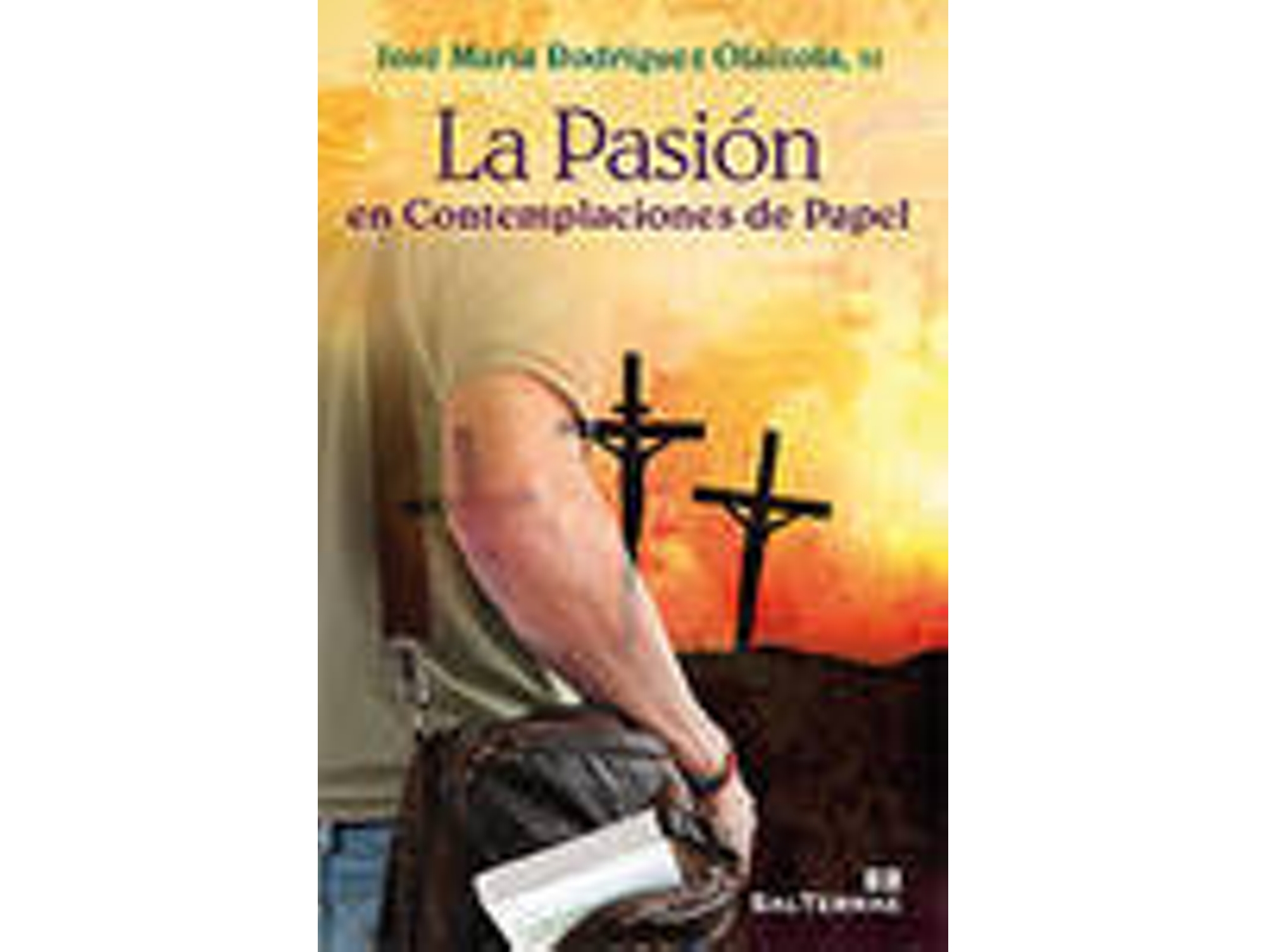 Libro La Pasión En Contemplaciones De Papel de Varios Autores