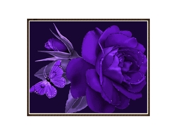 Pintura de diamante 5D DIY con patrones de animales y flores para pared