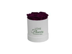 7 rosas naturales preservadas flores de amor de terciopelo morado en caja redonda blanca - Colección Circle Rose