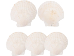 Juego 5 Elegantes Bandejas Blancas Joyas Forma Concha Marina Bordes Lisos Almacenamiento Anillos Elegante