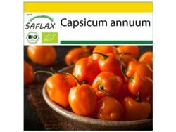 SAFLAX Conjunto de cultivo Ecológico Chile Orégano Habanero 20 semillas Con mini invernadero, sustrato de cultivo y 2 macetas Capsicum annuum
