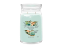 Vela Yankee modelo grande de aloe y agave de Bougie Signature