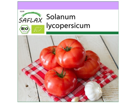 SAFLAX Ecológico Tomate San Pedro 15 semillas Solanum lycopersicum