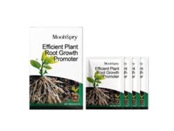 Polvo enraizante para plantas Worten High Flow