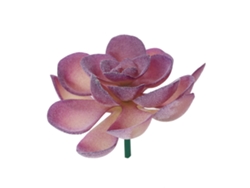JILLIOPER Planta Suculenta Artificial de Plástico para Decoración de Jardín, Hogar y Oficina - Morado