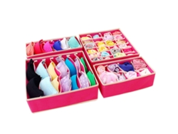 EIOORORRIY Organizador De Roupa Interior dobrável (4 Unidades)