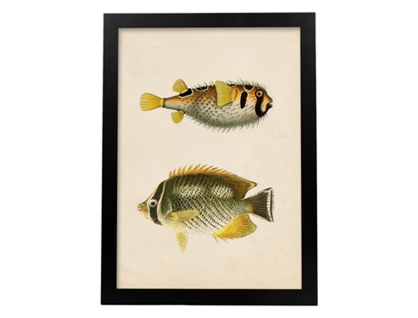 Póster NACNIC de Dos Peces Amarillo Gris y Negro en , Fondo Papel Vintage.