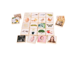 Wooden Lifecycle Tiles TICKIT (12 meses)
