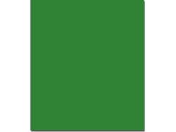 Cartulina Verde (50 x 65 cm - 1 Unidad - 250 g/m²)