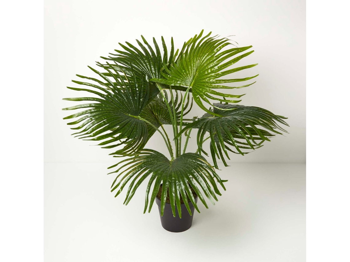Homescapes Artificial Fan Palm Tree In Pot, 80 Cm Tall
