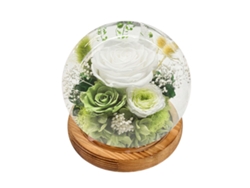 Rosas Eternas en Cúpula de Cristal con Luz LED, Ramo Permanente con Caja de Regalo, Ideal para Mujer, Madre, Aniversario, Cumpleaños