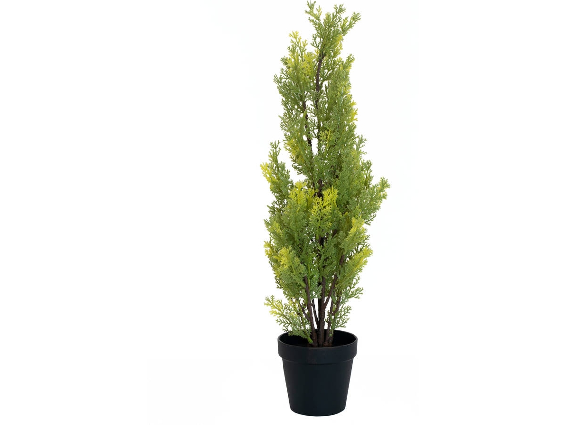 Planta Artificial EUROPALMS Cypress (Verde - 60 cm)
